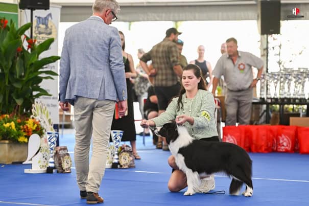 Tara receiving a price in Olomouc